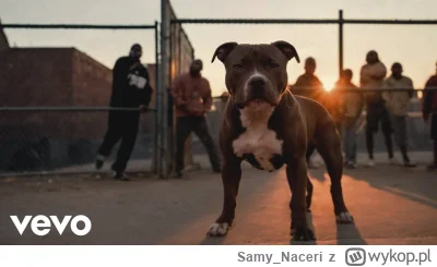 Samy_Naceri - #2pac #muzyka #rap