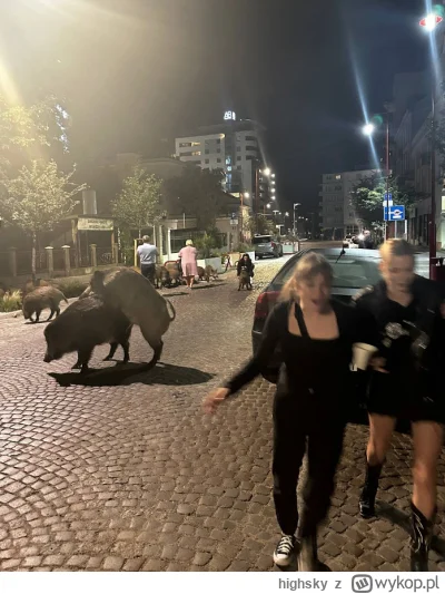 highsky - #gdynia #trojmiasto #smiesznypiesek