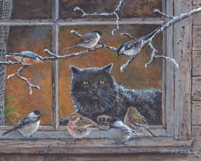 Corvus_Frugilagus - Jon Van Zyle - Ciekawskie stworzonka - Cat TV

#corvusfrugilagusc...