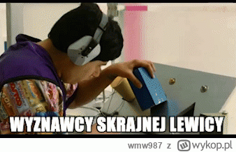 wmw987 - #heheszki #bekazlewactwa #bekazprawakow #memy