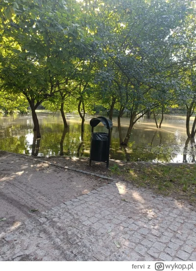 fervi - Park Kleciński (ok. 5 minut temu)

#powodz #wroclaw