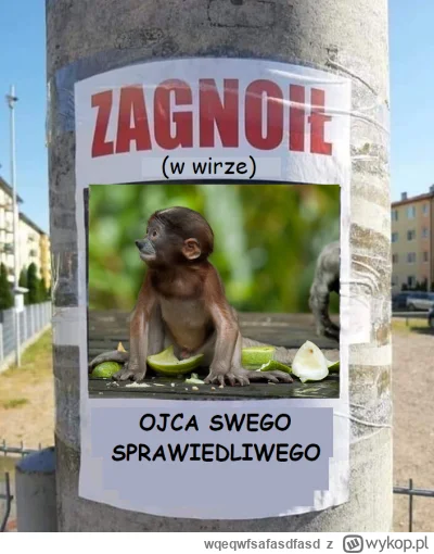 wqeqwfsafasdfasd - #konkursnanajbardziejgownianymemznosaczem #sztukadlasprawiedliwych