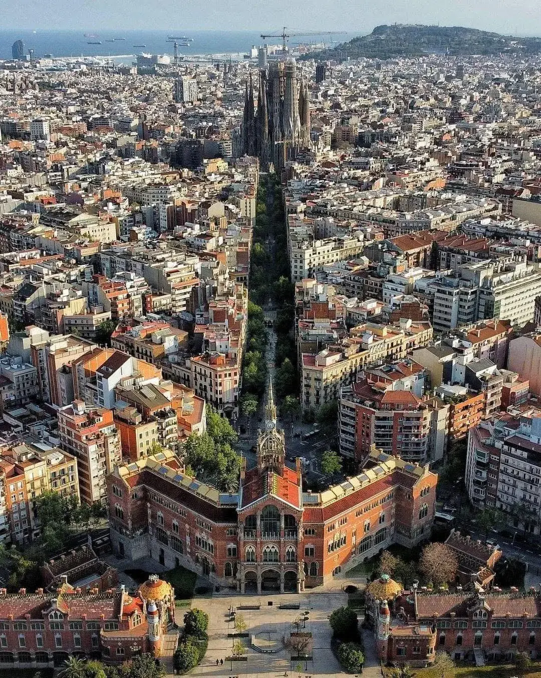 wfyokyga - Bytom z lotu ptaka i katedra Bytomska w centrali