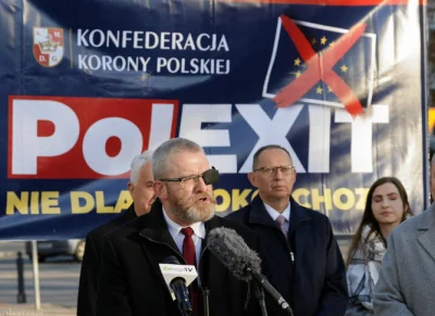 luke-mat - Grzegorz Braun wczoraj zadeklarował Polexit jako główny sztandar na wybory...