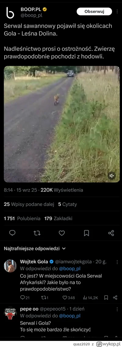 quaz2020 - #famemma biedny Serwal, Wojtek juz pewnie na niego poluje tam ( ͡° ʖ̯ ͡°)