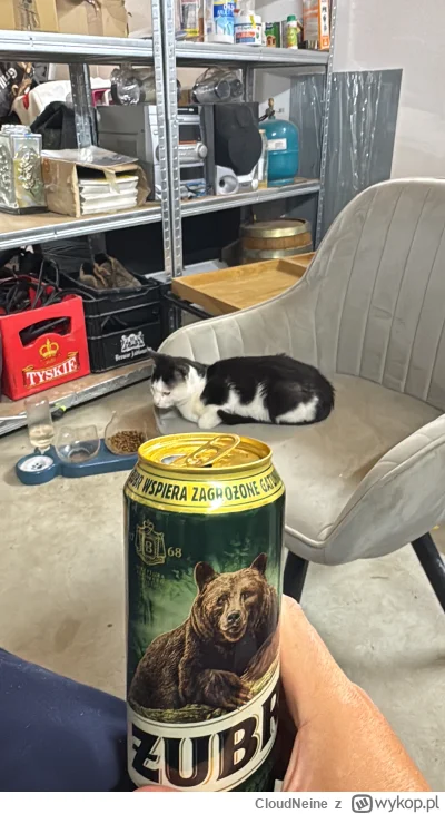 CloudNeine - Dziczyzna z #pokazkota #alkoholizm