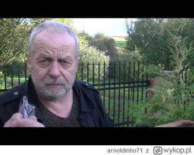 arnoldinho71 - @totemlesnychludzi: komentarz do płotu z tuji może być tylko jeden: ht...