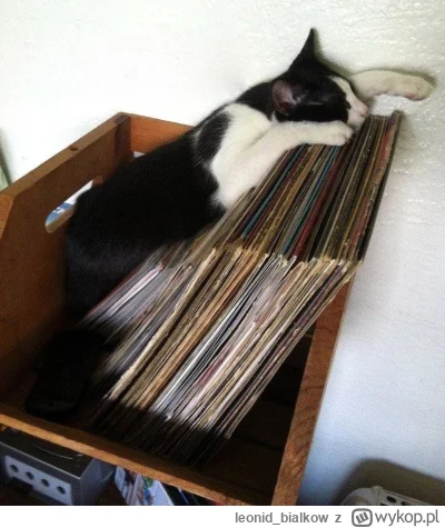 leonid_bialkow - @annlupin: cze dla ciebie