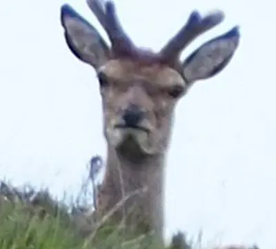 michalgrande - @michalgrande: