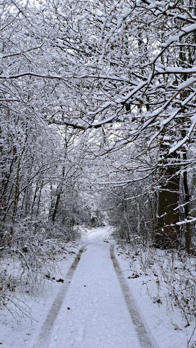 Arvin - #spierdotrip trzeba korzystać z zimy, bo zaraz się wszystko roztopi #przegryw