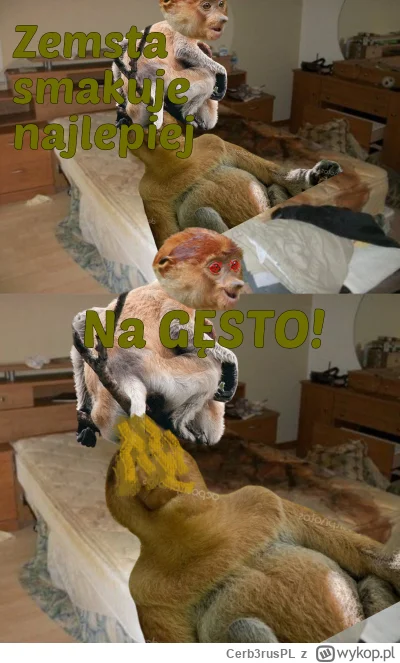 Cerb3rusPL - #konkursnanajbardziejgownianymemznosaczem