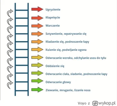 Voyo - Nie mój tekst ale wrzucam bo dobrze napisane a ostatnio sporo wysrywów tu lata...