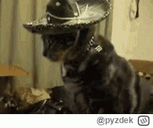 pyzdek - @DarthRegis: