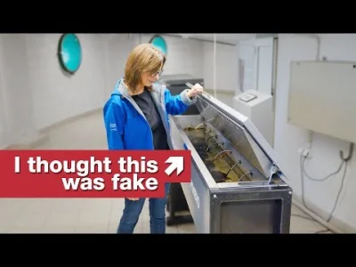 Zakrentas - @Lifelike: