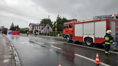 kuraku - Jak chcesz kogoś zabić w Polsce, użyj samochodu, prawdopodobnie spotka Cię m...