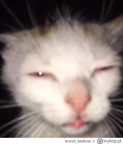 leonid_bialkow - @donfallo: cze dla cb