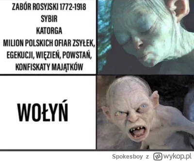 Spokesboy - Zauważyliście że ruskie trolle z facebook i youtube używają tych samych s...