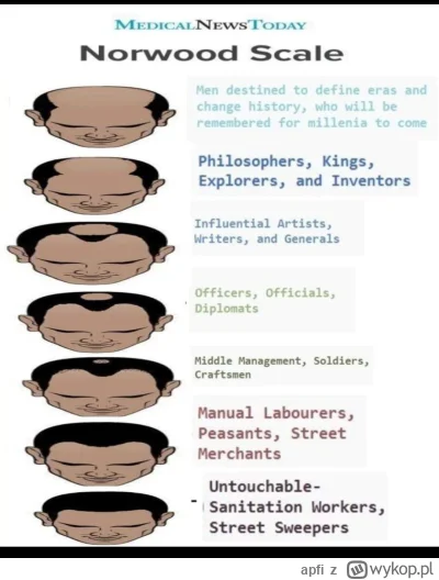 apfi - #niebieskiepaski #heheszki #humorobrazkowy #przegryw #blackpill #bekazpodludzi...