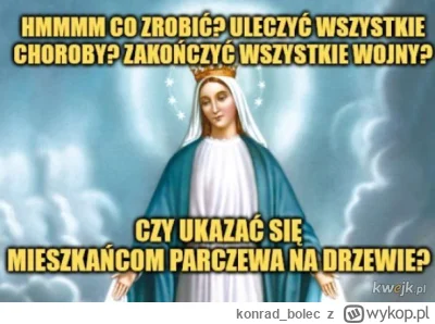 konradbolec - @mieszczanskitrubadur nie szczekaj już agresywny prawaku xd ja wiem, że...