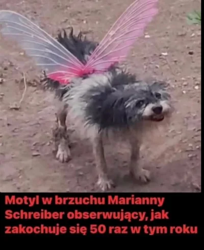 KlapekZeusa - Dawno tak nie prychlem XD

#przegryw