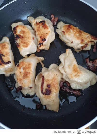 DzikiJelonek - Lubicie odsmażane pierogi? 

#przegryw