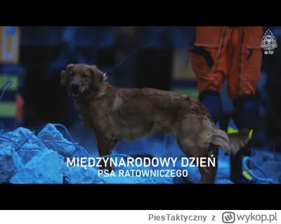 PiesTaktyczny - Dziś Międzynarodowy Dzień Psa Ratowniczego 🧡

To właśnie psy ratowni...
