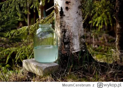 MeumCerebrum - Chciałbym jeszcze poeksplorować temat tanich zapachów, tak więc mam te...