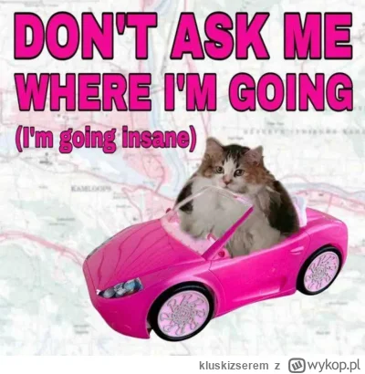 kluskizserem - @zielonykszak: