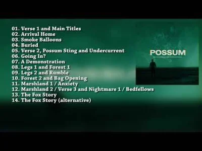 Miteora - #przegryw #muzykafilmowa