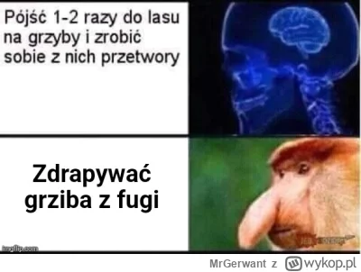 MrGerwant - #konkursnanajbardziejgownianymemznosaczem