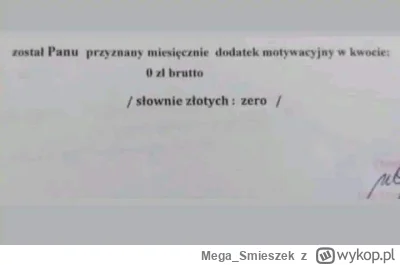 Mega_Smieszek