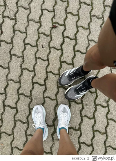 scorp02 - @enteropeptydaza 乁(♥ ʖ̯♥)ㄏ