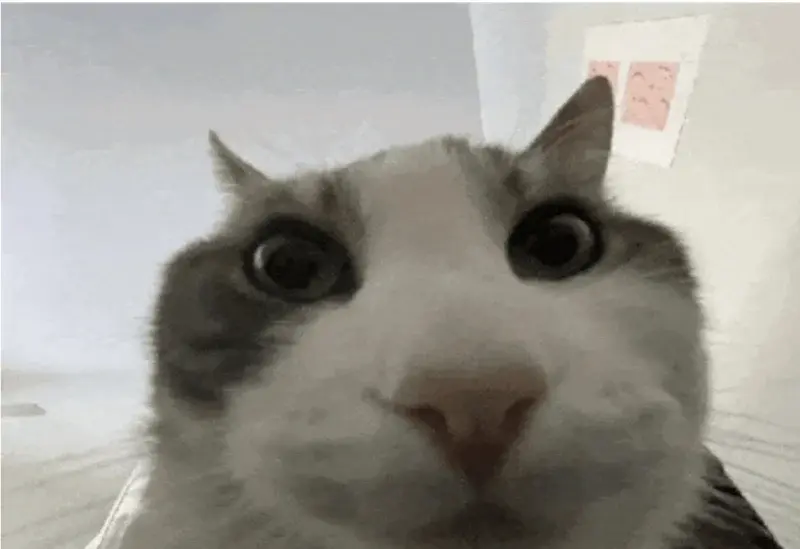 RitmoXL - @MrRedz: A dobrze. ( ͡° ͜ʖ ͡°)