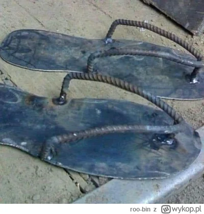 roo-bin - @kaszanka5555 ten biznes jest tak samo dochodowy jak wygodne są takie klapk...