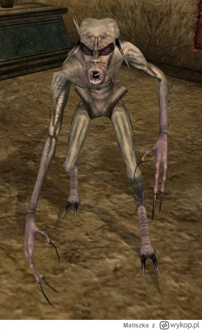 Matiszka - @1-1-1-1: jakiś potwór s--------ł z morrowinda xD