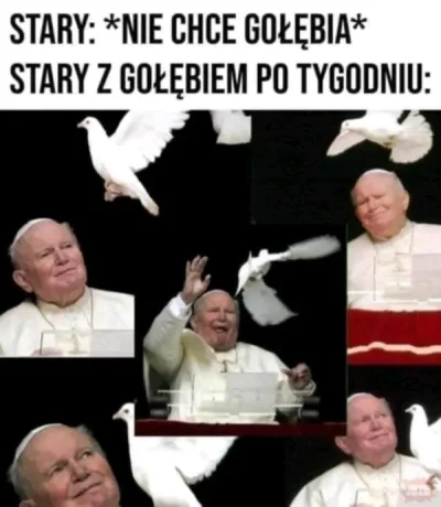 riggen - #2137 ojciec Święty lubił gołąbki