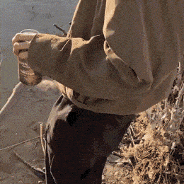 wfyokyga - O ja p------e bóbr k---a