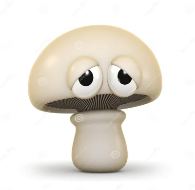 Vendigoo - #raportzpanstwasrodka Wielka smuta zagościła w willi z basenem..