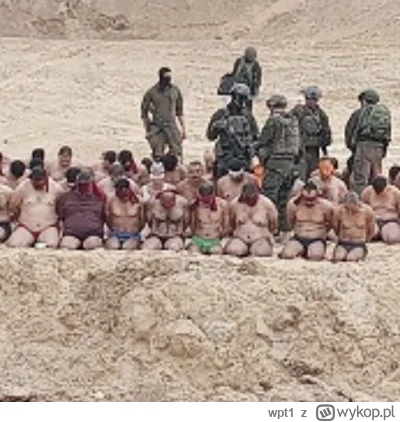 wpt1 - @szklarskaporeba: popatrzmy na te głodne brzuszki