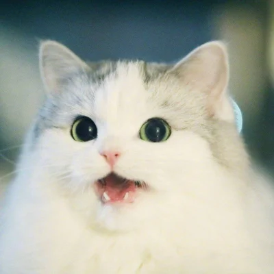 Umeraczyk - Może jutro zimne piwko wleci hehe