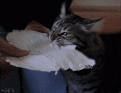 wfyokyga - Ekologiczna niszczarka.