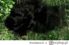 Knoblauch - @imdb tam jest jak w Lost.