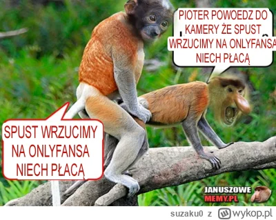 suzaku0 - #konkursnanajbardziejgownianymemznosaczem