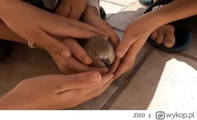 Zi00 - Biedaczek nie wiedział, że trafi na edukację domową i będzie musiał uczyć się ...
