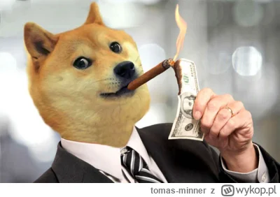 tomas-minner - Dogecoin osiąga roczne maksimum w dziesiątą rocznicę swojej działalnoś...