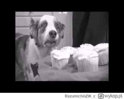 RazumichinZiK - @dzidek_nowak: @Smarek37 kiedy musi napisać słowo "dysortografia":