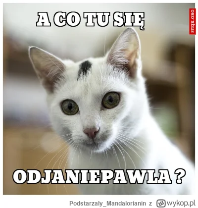 Podstarzaly_Mandalorianin - #cdprojekt #gielda
