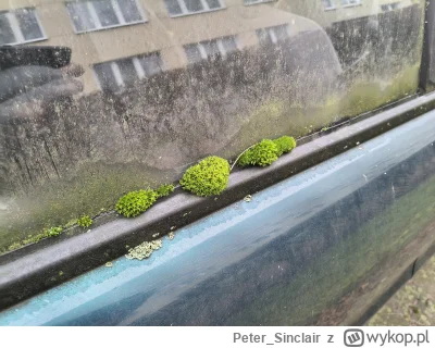 PeterSinclair - @PeterSinclair: