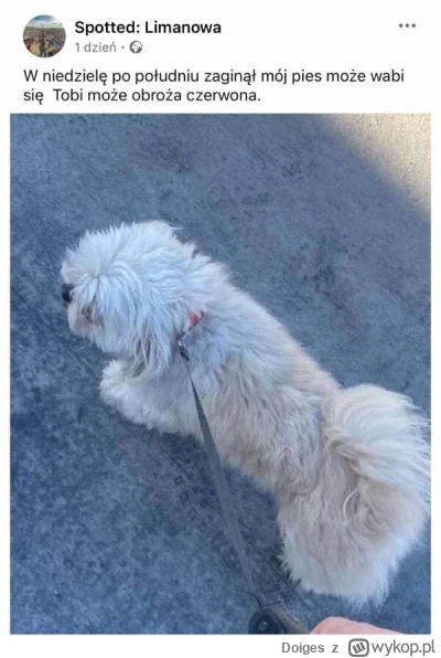 Doiges - #fredikamionka