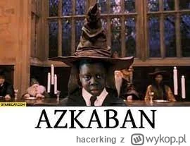 hacerking - Ten mem musi być za każdym razem, gdy jes grany Poter w telewizji. 

#har...